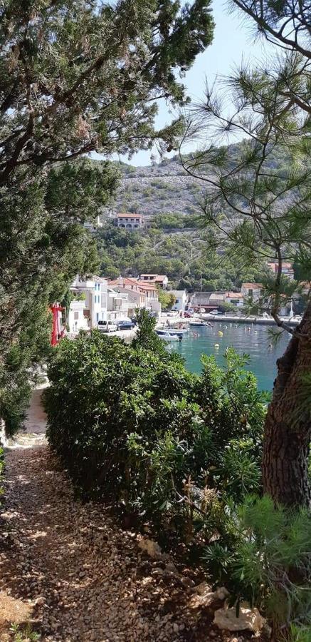 Nives Starigrad (Kvarner)