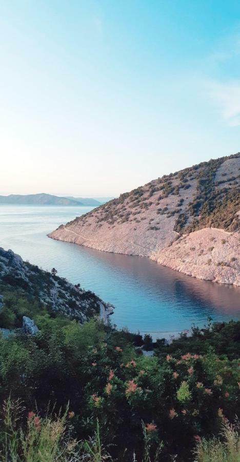Nives Starigrad (Kvarner)